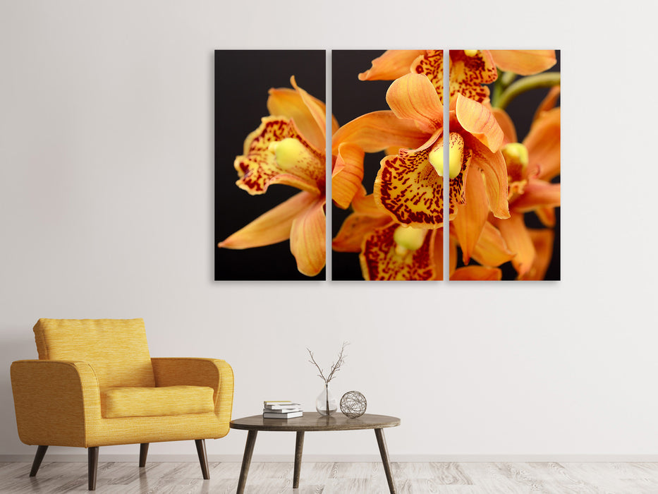 Leinwandbild 3-teilig Orchideen mit orangen Blüten