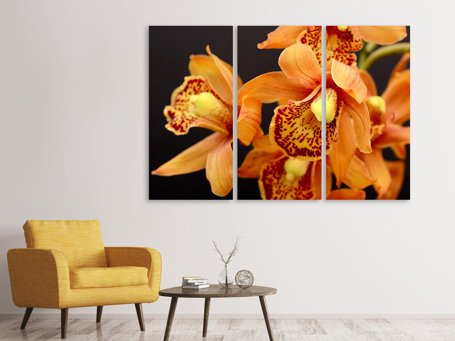 Leinwandbild 3-teilig Orchideen mit orangen Blüten