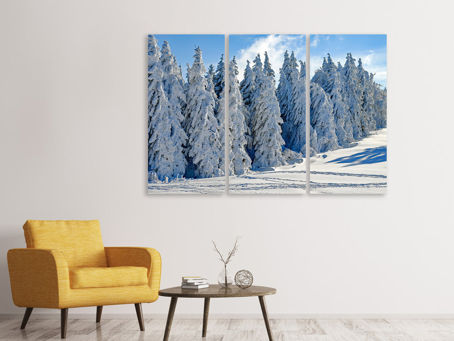 Leinwandbild 3-teilig Schöne Winterlandschaft