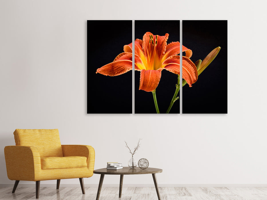 Leinwandbild 3-teilig Eine Lilien Blüte in orange