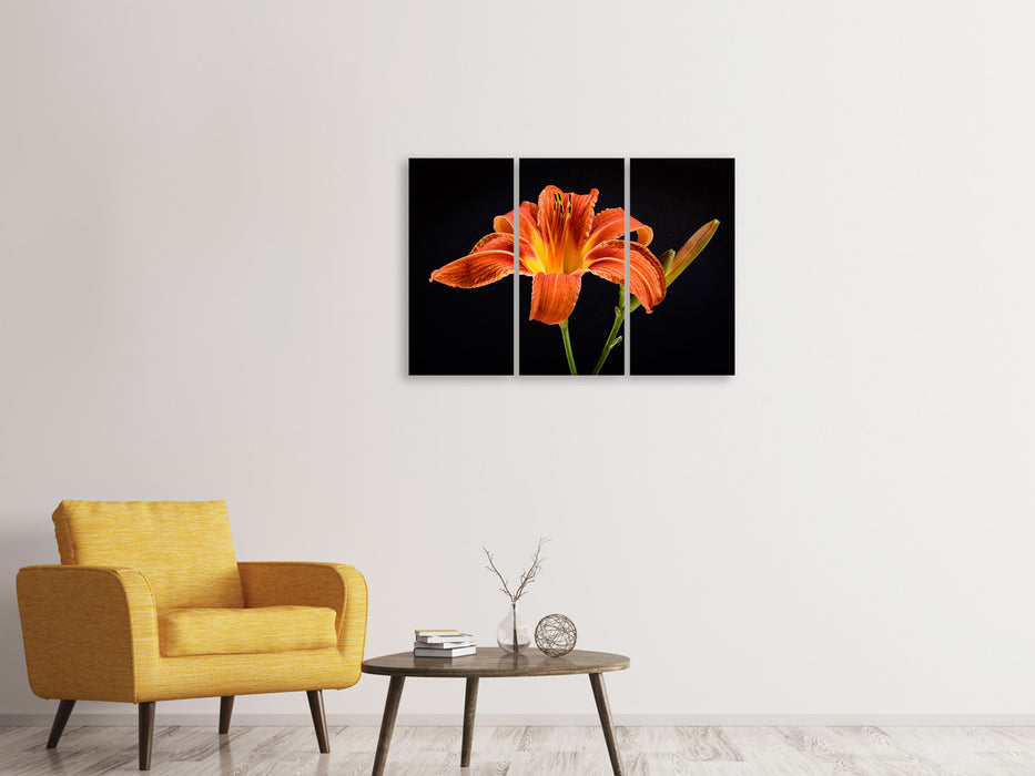 Leinwandbild 3-teilig Eine Lilien Blüte in orange