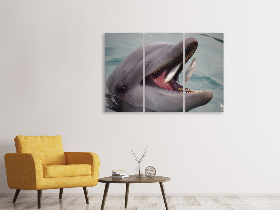 Leinwandbild 3-teilig Essenszeit für einen Delphin