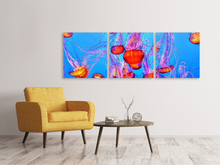 Tableau sur toile panoramique en 3 parties Méduses colorées