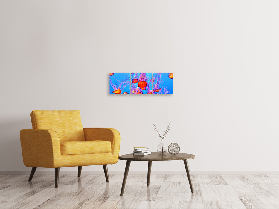 Tableau sur toile panoramique en 3 parties Méduses colorées