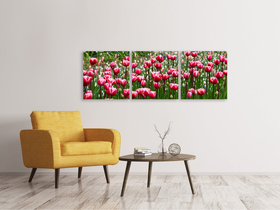 Panorama Leinwandbild 3-teilig Wildes Tulpenfeld