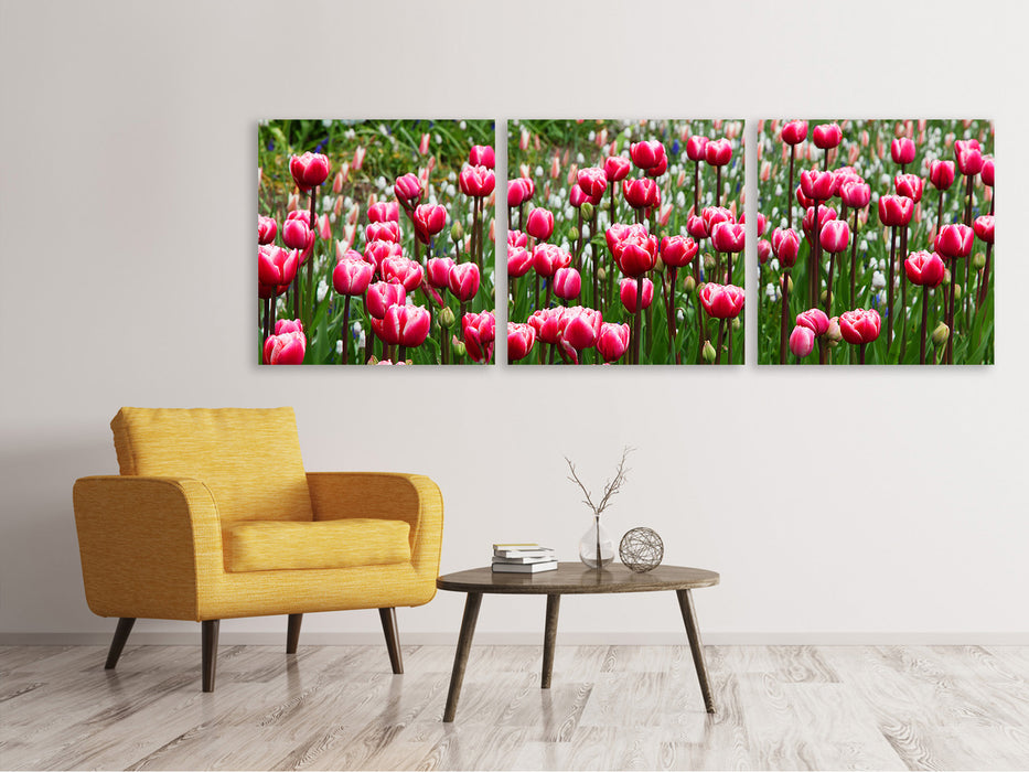 Panorama Leinwandbild 3-teilig Wildes Tulpenfeld