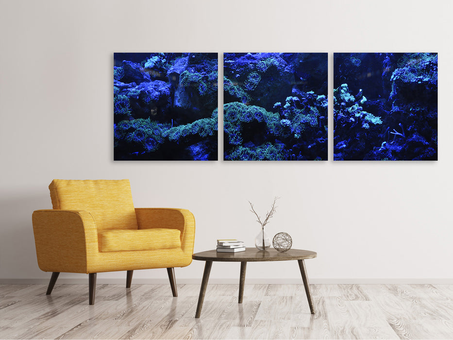 Tableau sur toile panoramique en 3 parties récif de corail en bleu