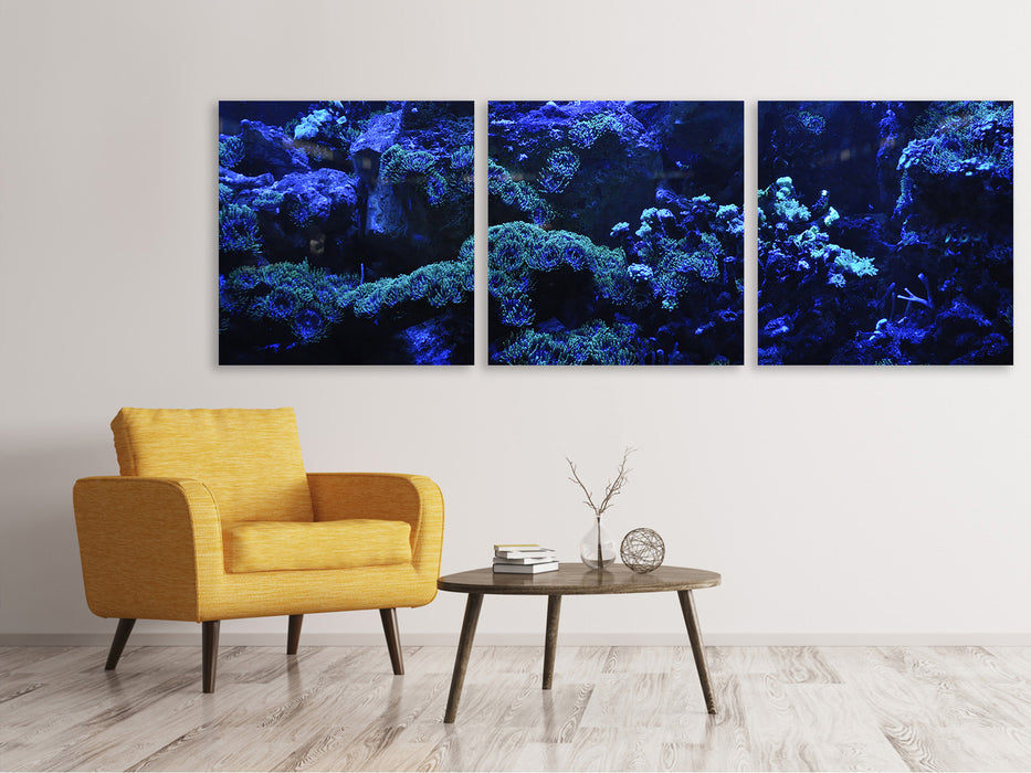 Tableau sur toile panoramique en 3 parties récif de corail en bleu