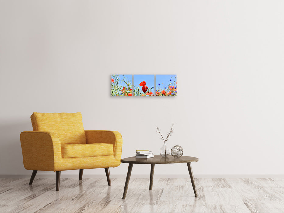 Panorama Leinwandbild 3-teilig Der Mohn in der Blumenwiese