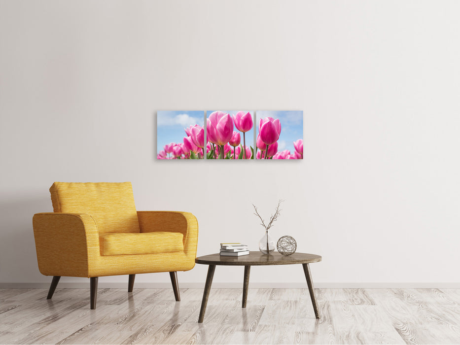 Panorama Leinwandbild 3-teilig Tulpenfeld in rosa