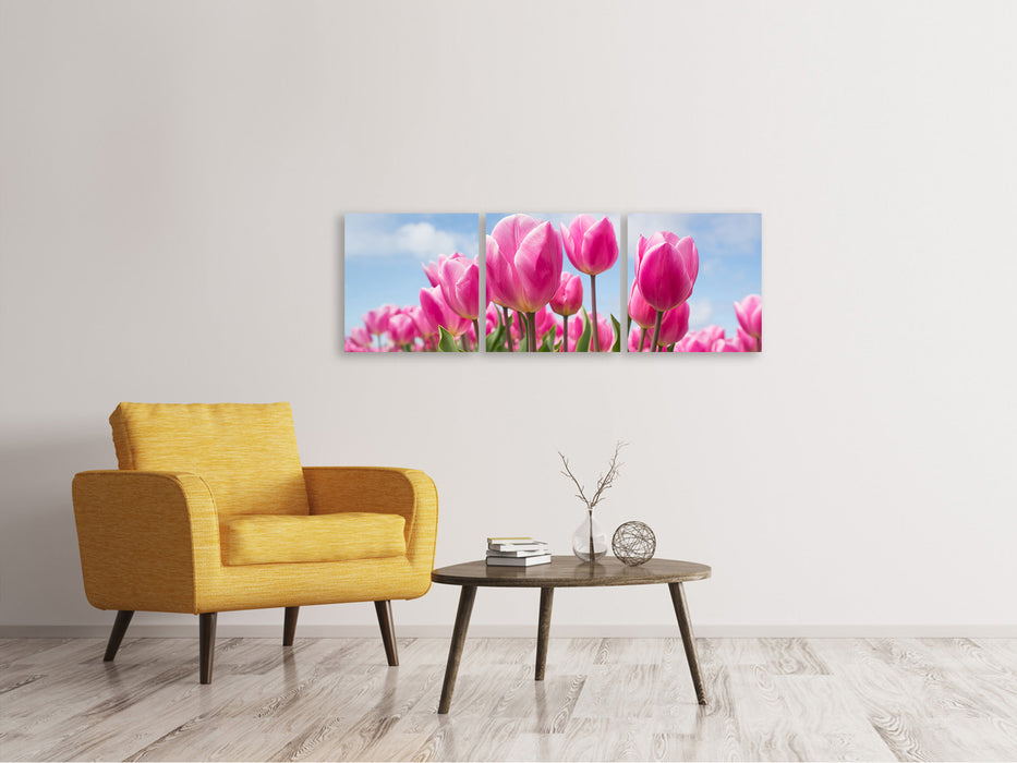 Panorama Leinwandbild 3-teilig Tulpenfeld in rosa