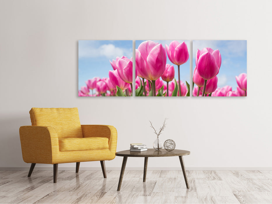 Panorama Leinwandbild 3-teilig Tulpenfeld in rosa