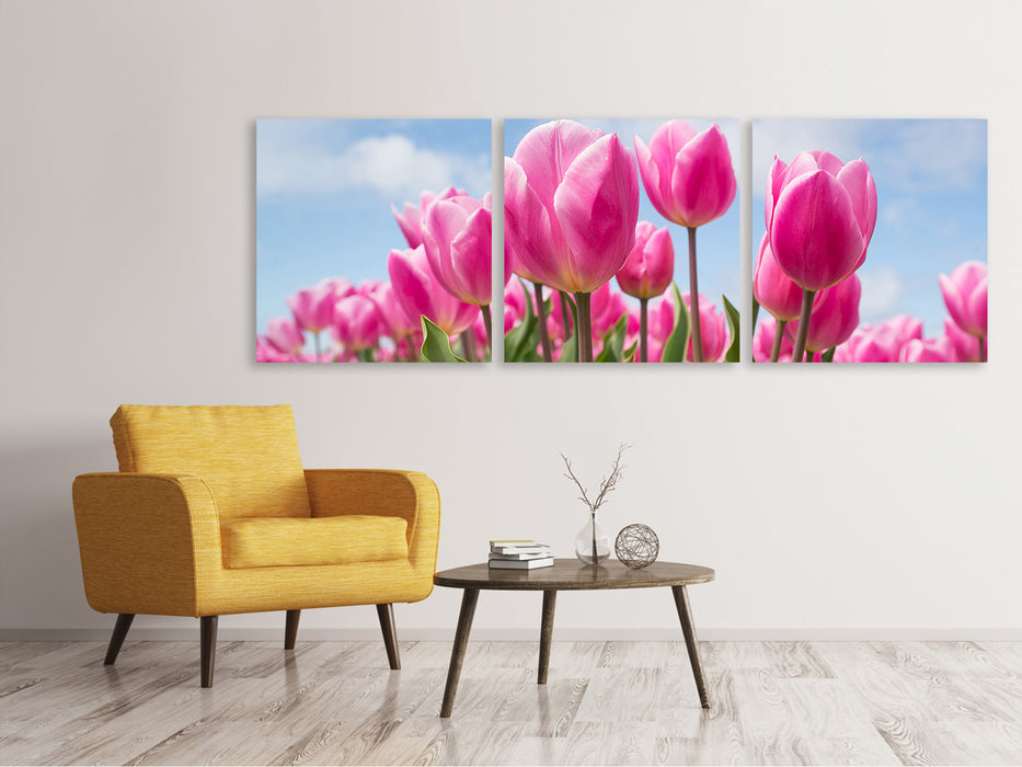 Panorama Leinwandbild 3-teilig Tulpenfeld in rosa