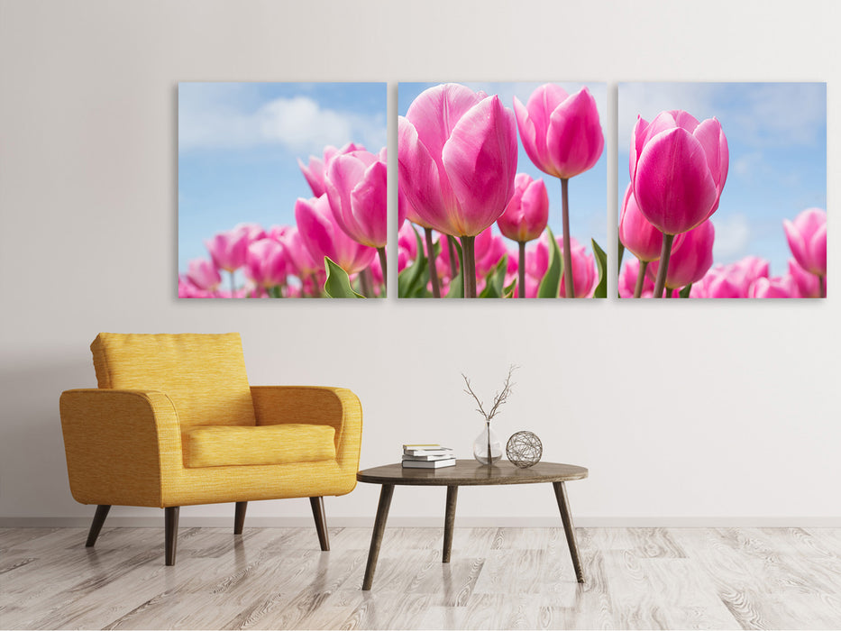 Panorama Leinwandbild 3-teilig Tulpenfeld in rosa