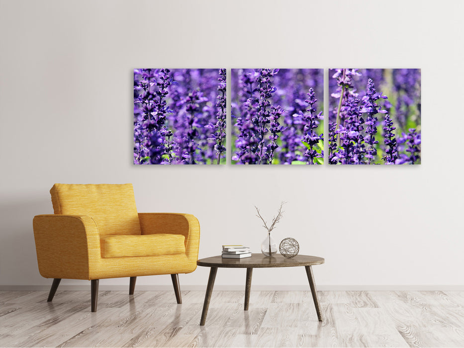 Panorama Leinwandbild 3-teilig XL Lavendel