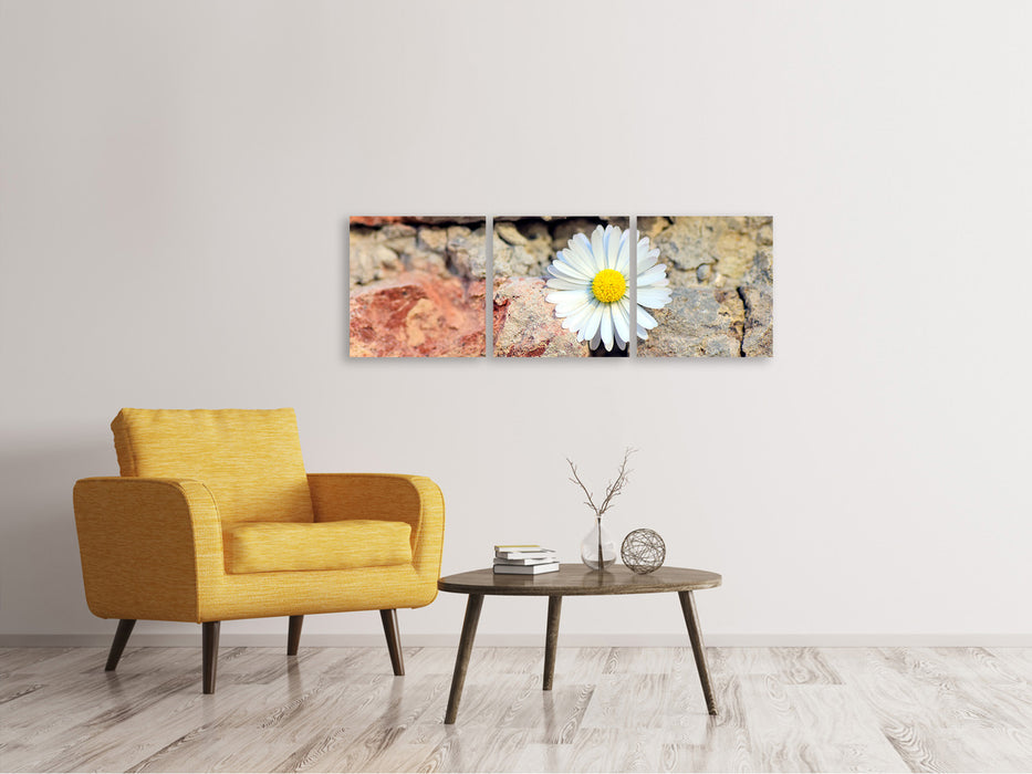 Panorama Leinwandbild 3-teilig Blume in der Wand