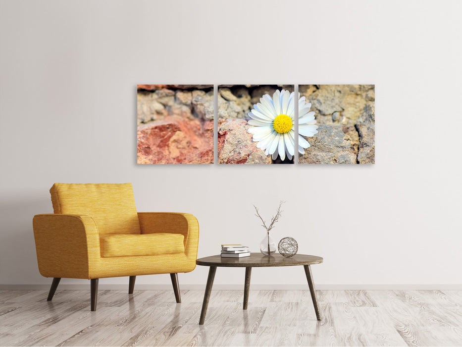 Panorama Leinwandbild 3-teilig Blume in der Wand