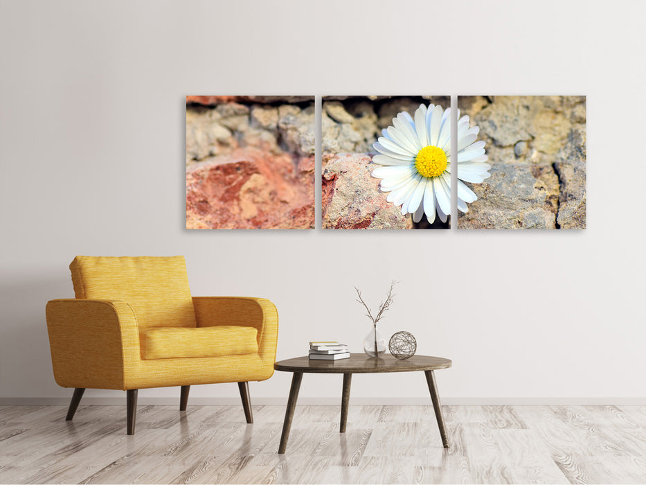 Panorama Leinwandbild 3-teilig Blume in der Wand