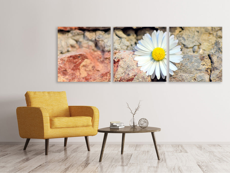 Panorama Leinwandbild 3-teilig Blume in der Wand