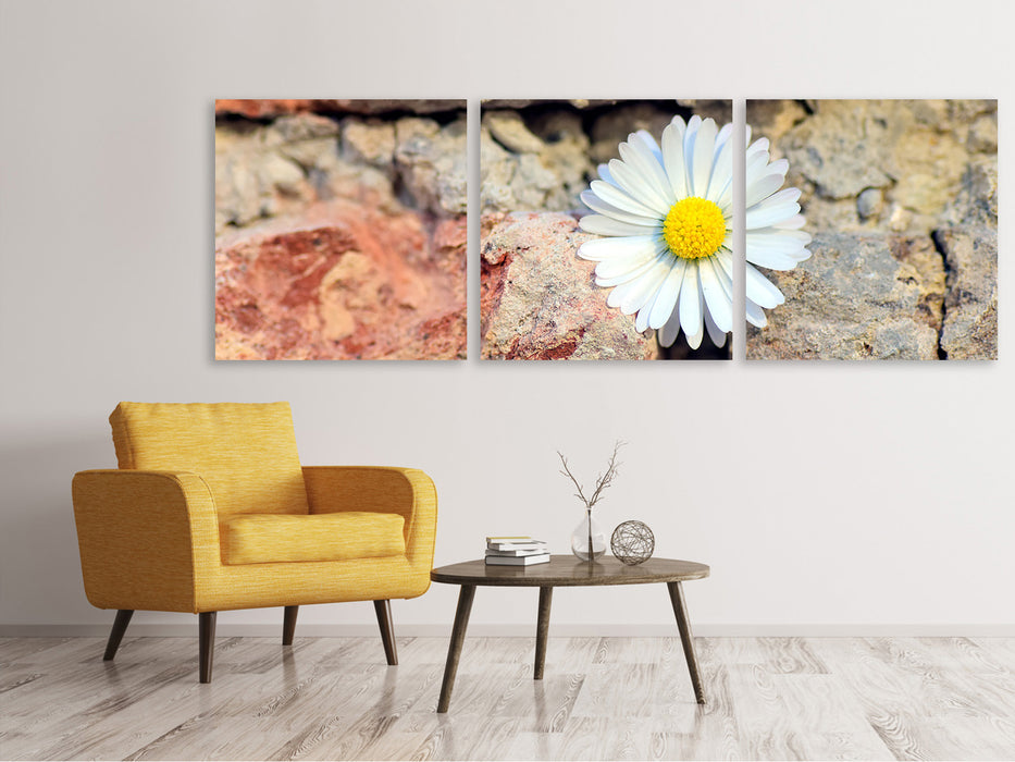 Panorama Leinwandbild 3-teilig Blume in der Wand