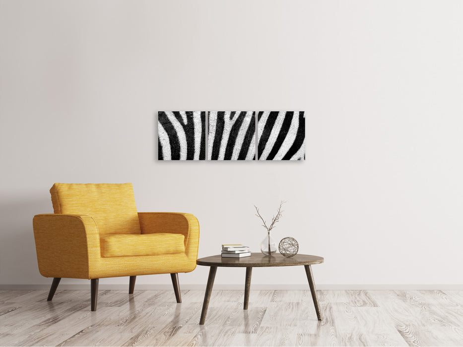 Panorama Leinwandbild 3-teilig Streifen vom Zebra