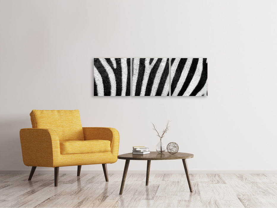 Panorama Leinwandbild 3-teilig Streifen vom Zebra