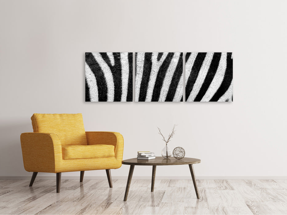 Panorama Leinwandbild 3-teilig Streifen vom Zebra