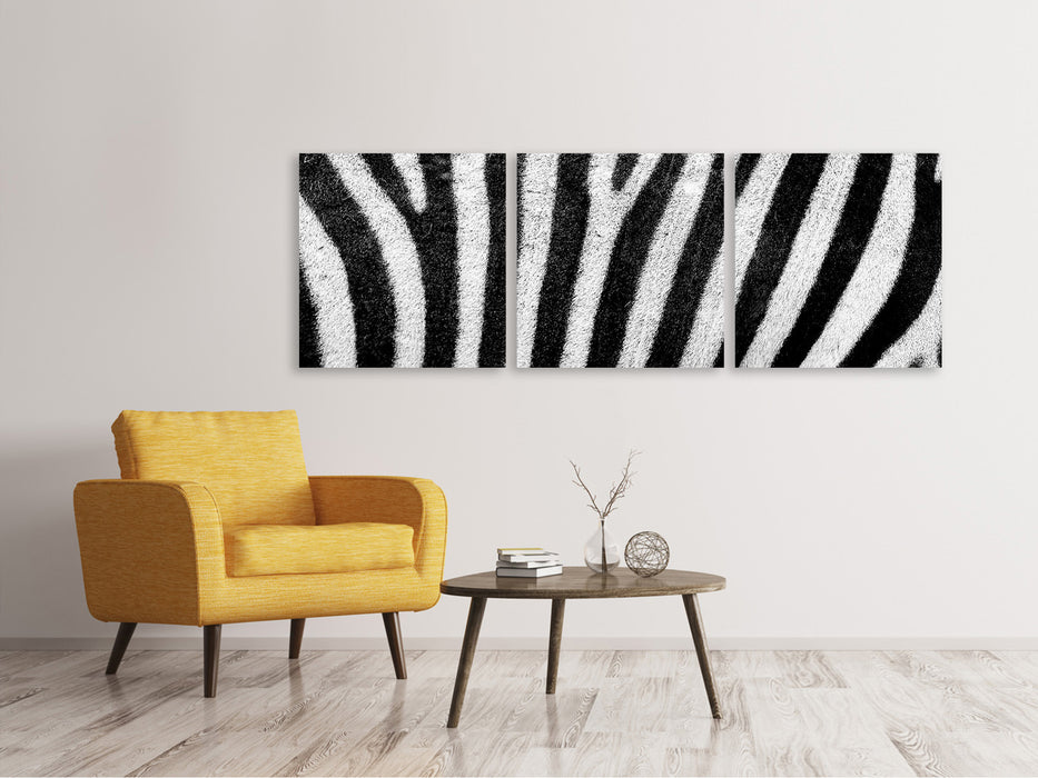 Panorama Leinwandbild 3-teilig Streifen vom Zebra