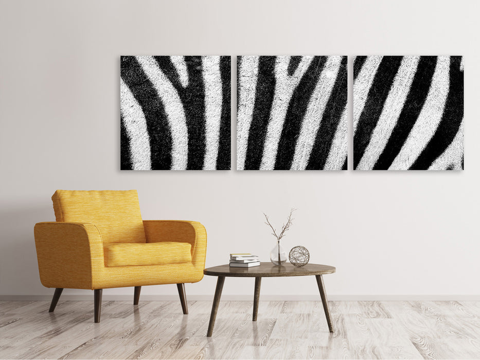 Panorama Leinwandbild 3-teilig Streifen vom Zebra