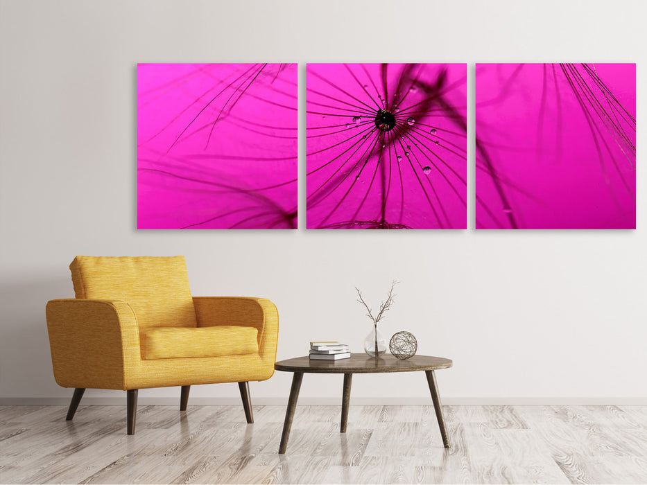 Panorama Leinwandbild 3-teilig Pusteblume in pink