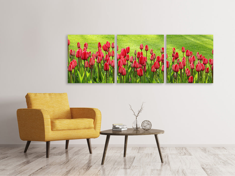 Panorama Leinwandbild 3-teilig Rotes Tulpenfeld im Sonnenlicht