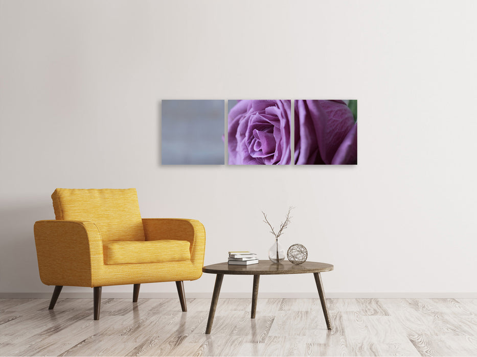 Panorama Leinwandbild 3-teilig Rose in Lila XXL