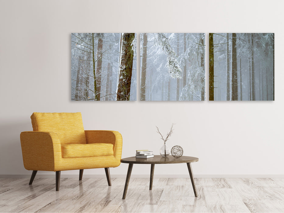 Panorama Leinwandbild 3-teilig Wald im Winter