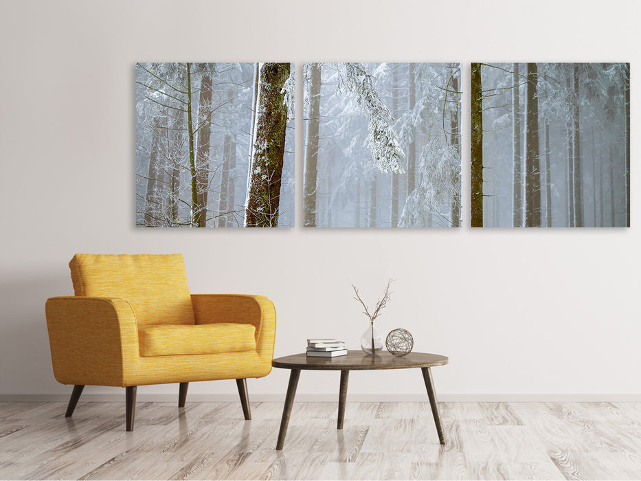 Panorama Leinwandbild 3-teilig Wald im Winter