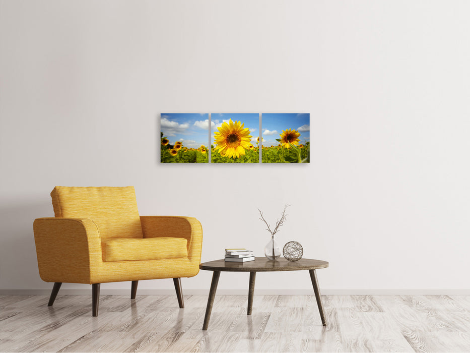 Panoramic 3-piece canvas picture summer sunflowers