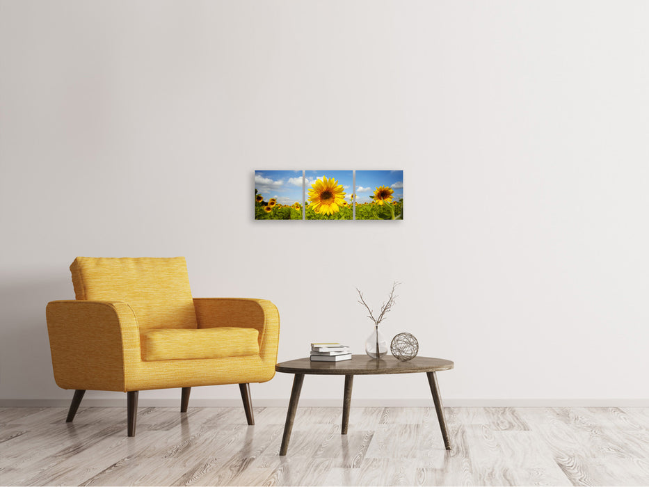 Panoramic 3-piece canvas picture summer sunflowers