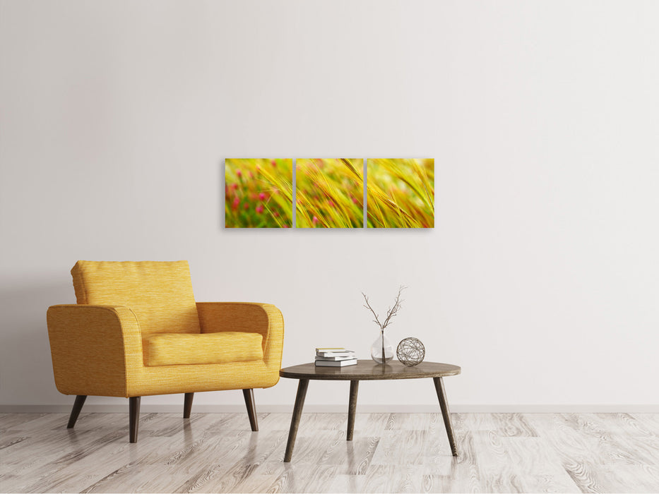 Panoramic 3-piece canvas picture The wheat field