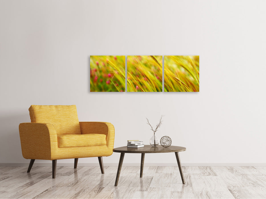 Panoramic 3-piece canvas picture The wheat field