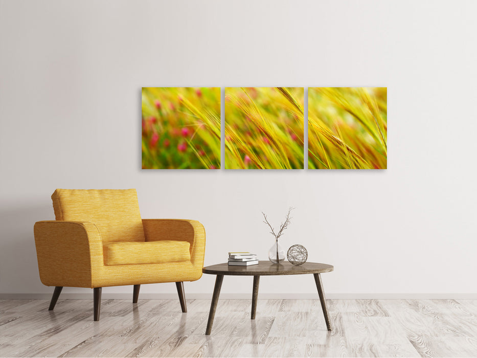 Panoramic 3-piece canvas picture The wheat field