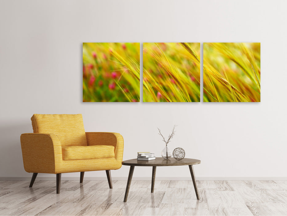 Panoramic 3-piece canvas picture The wheat field