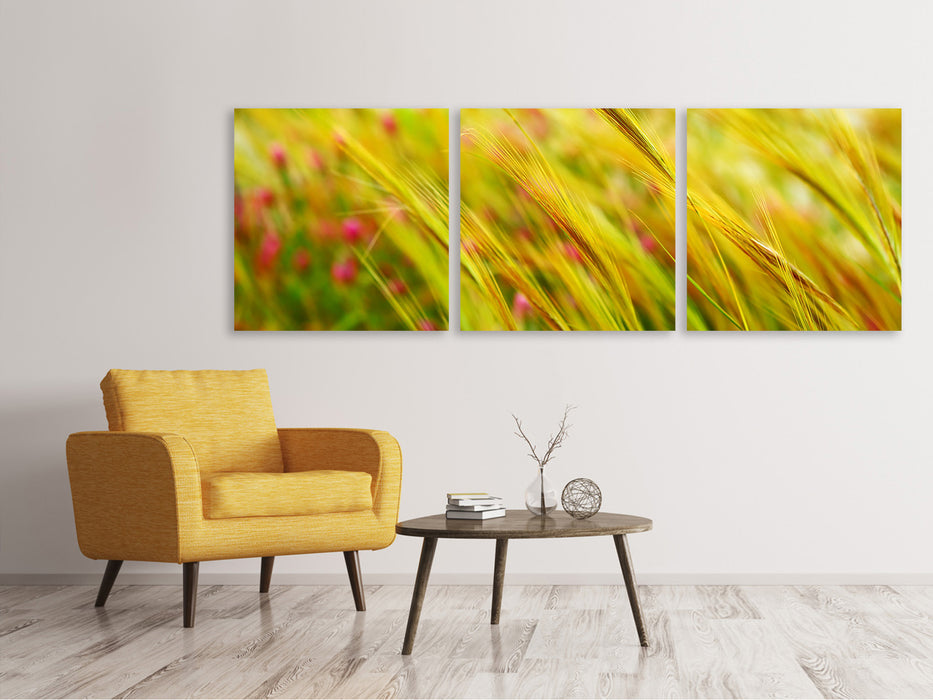 Panoramic 3-piece canvas picture The wheat field