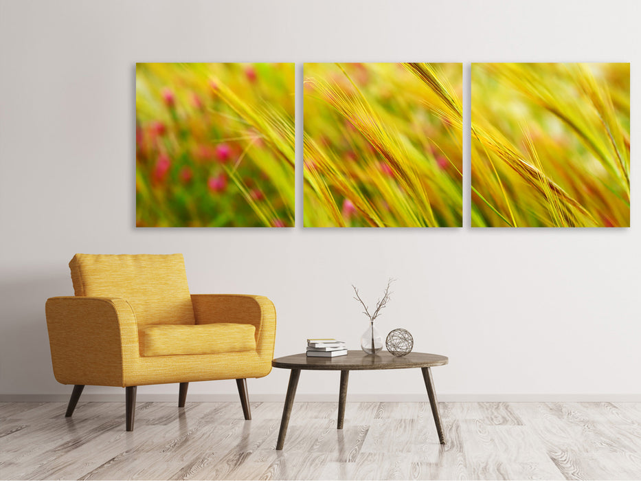 Panoramic 3-piece canvas picture The wheat field