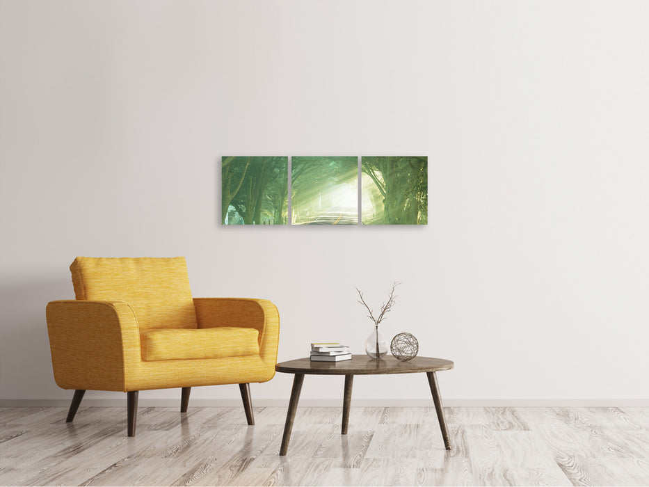 Panoramic 3-piece canvas picture The Avenue