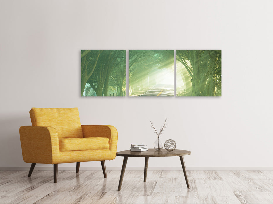 Panoramic 3-piece canvas picture The Avenue