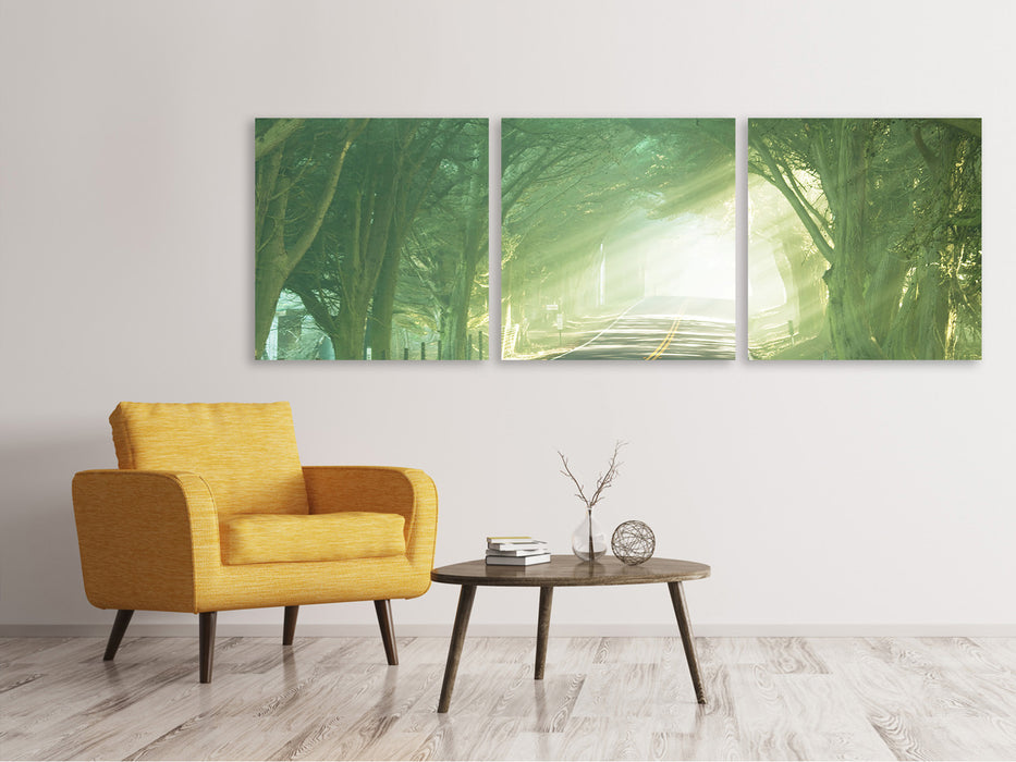 Panoramic 3-piece canvas picture The Avenue