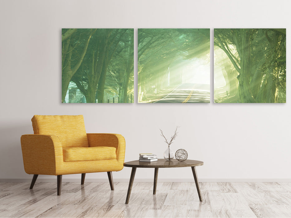 Panoramic 3-piece canvas picture The Avenue