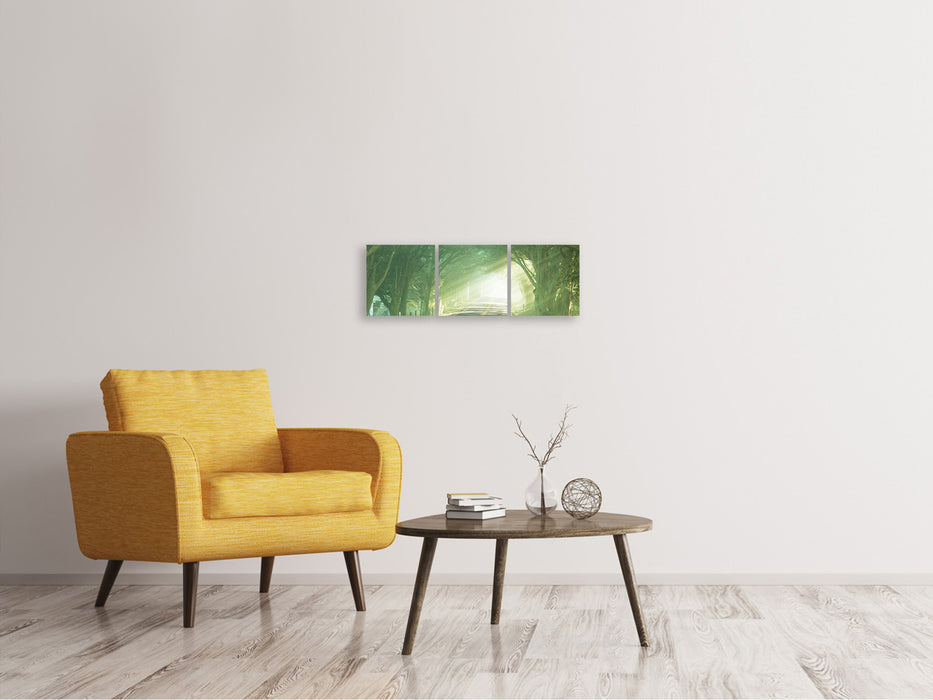 Panoramic 3-piece canvas picture The Avenue