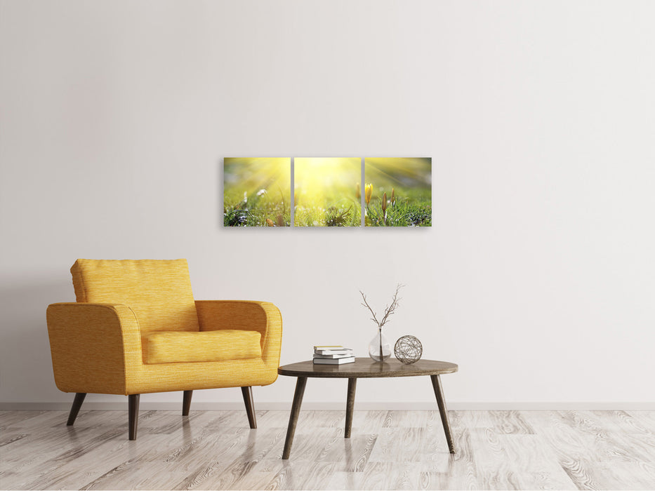 Panoramic 3-piece canvas picture Flowery meadow