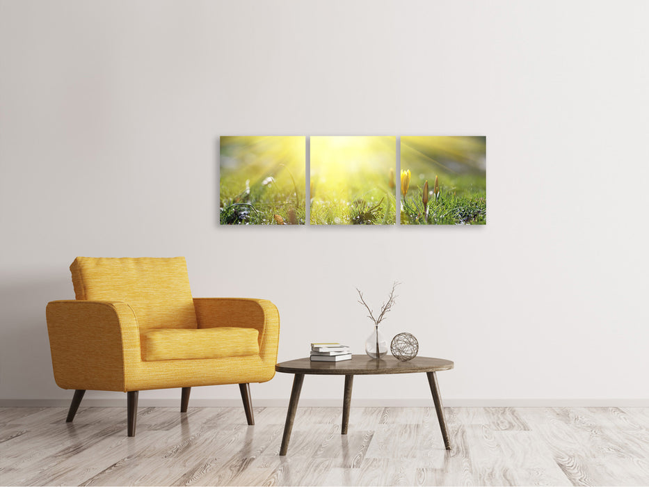 Panoramic 3-piece canvas picture Flowery meadow