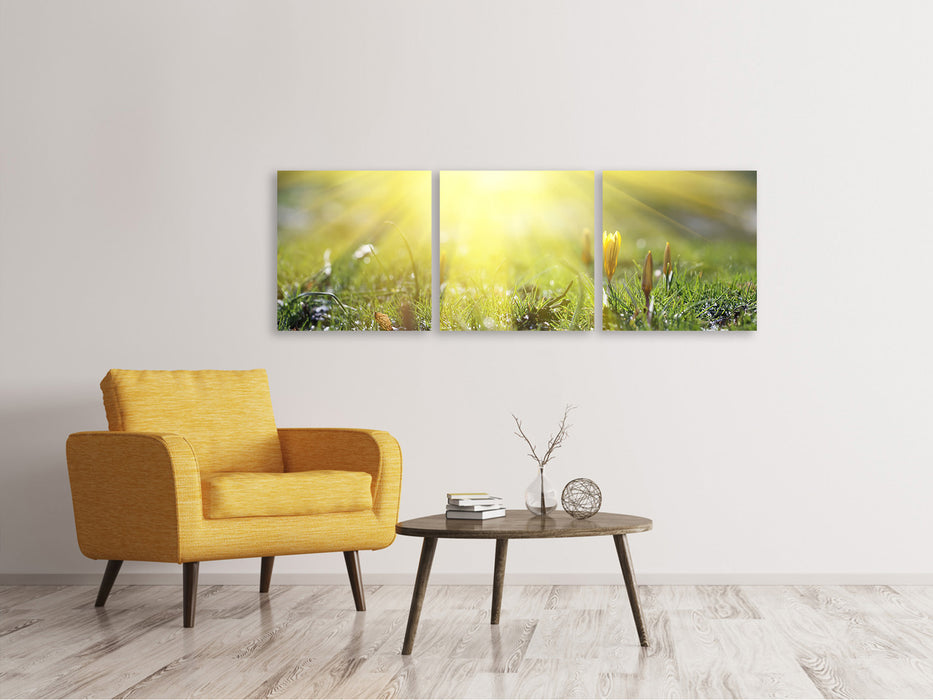 Panoramic 3-piece canvas picture Flowery meadow